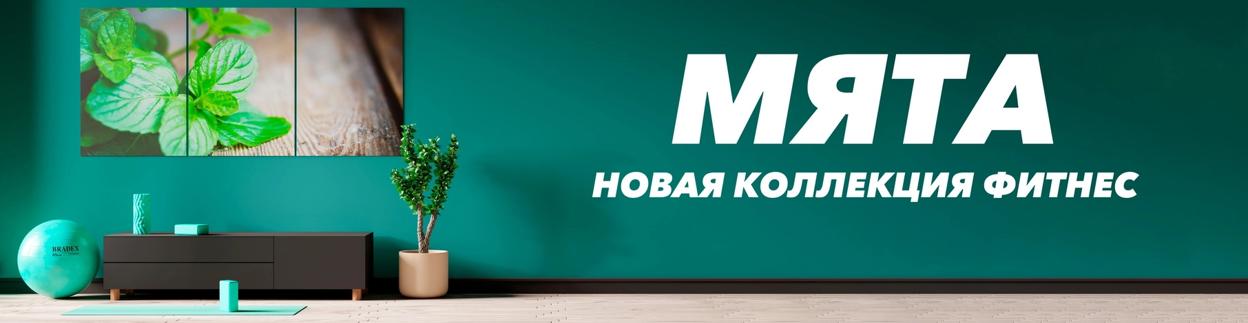 Bradex — компания по оптовой продаже товаров в Москве