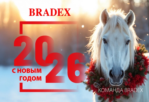 Поздравляем Вас С Новым 2026 Годом и Рождеством!