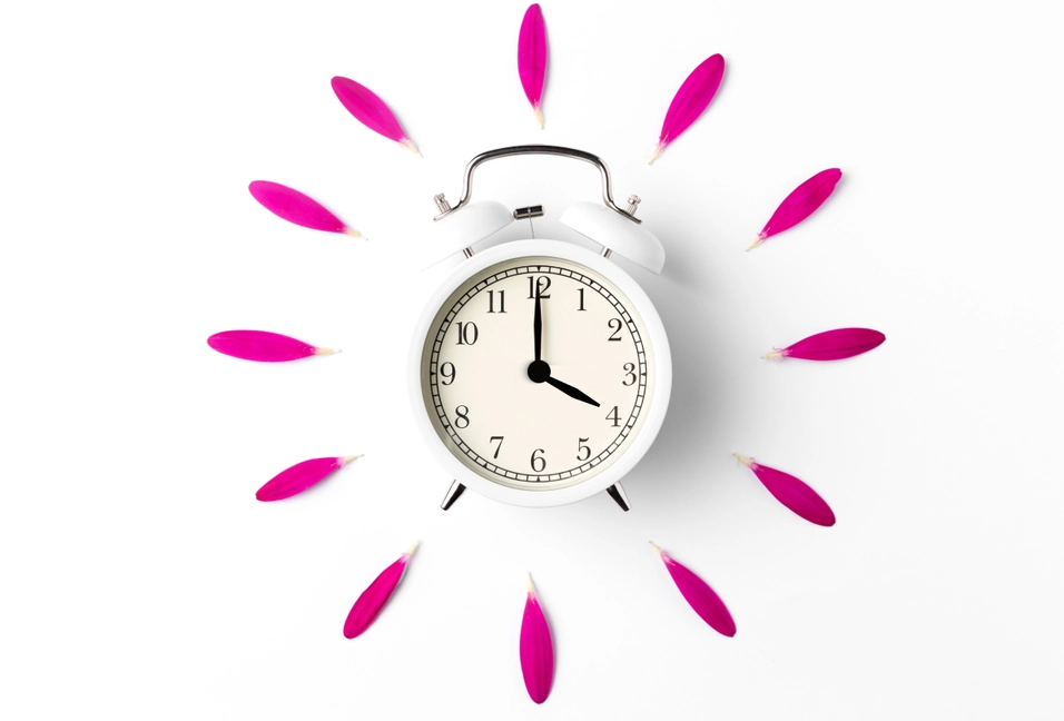 Таймер 20 минут