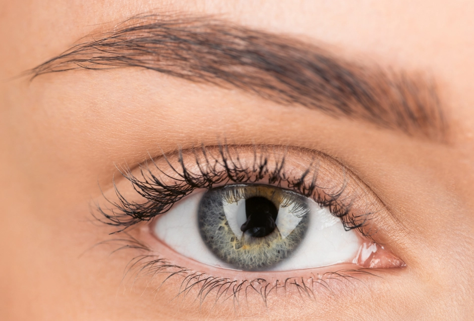 5- кратный зум