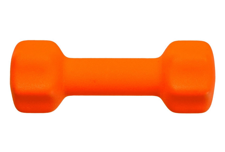 Многообразие