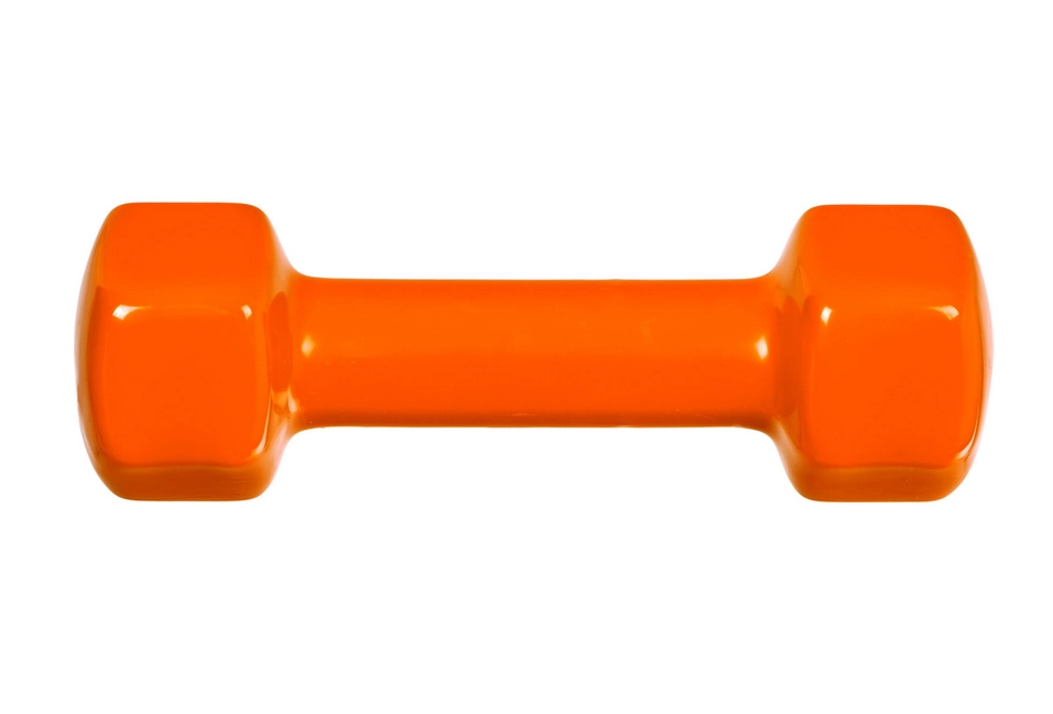 Многообразие