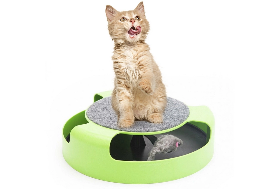 Имитирует процесс охоты за мышью