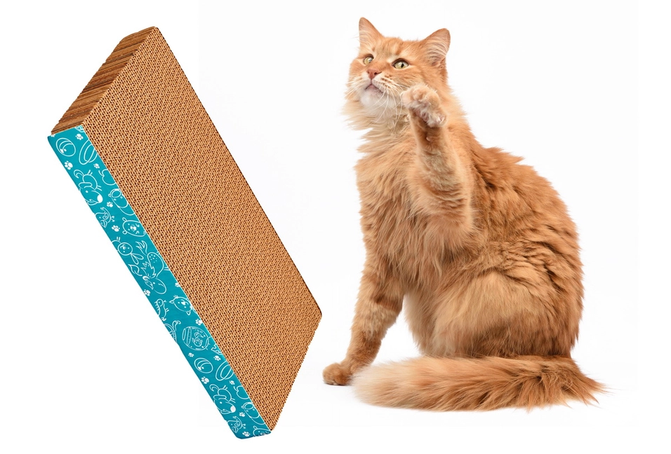 Подходит для котят и кошек всех пород